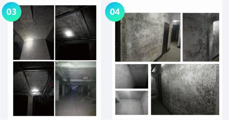 霉菌的溫床：地下車庫或儲(chǔ)藏室潮濕、滲漏...(圖2)