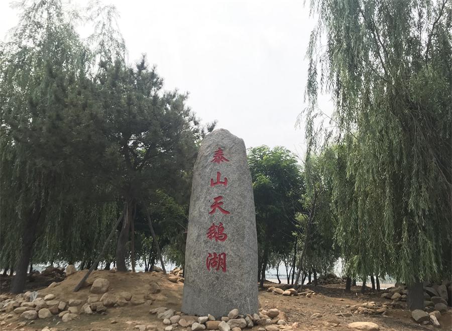 天鵝湖風(fēng)景區(qū)（泰山）速覽！(圖12)